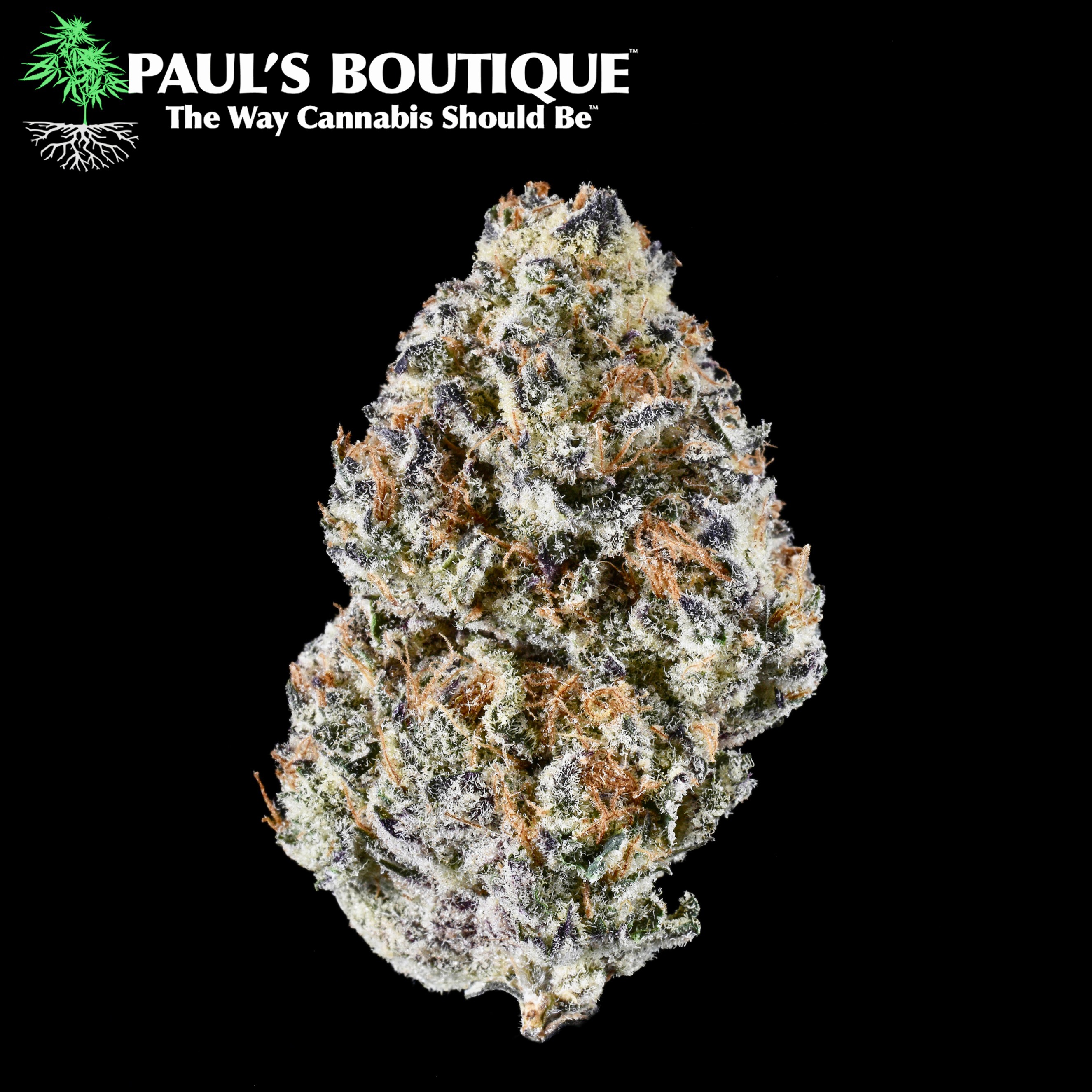 Paul s Boutique Dispensary Menu Reviews Photos